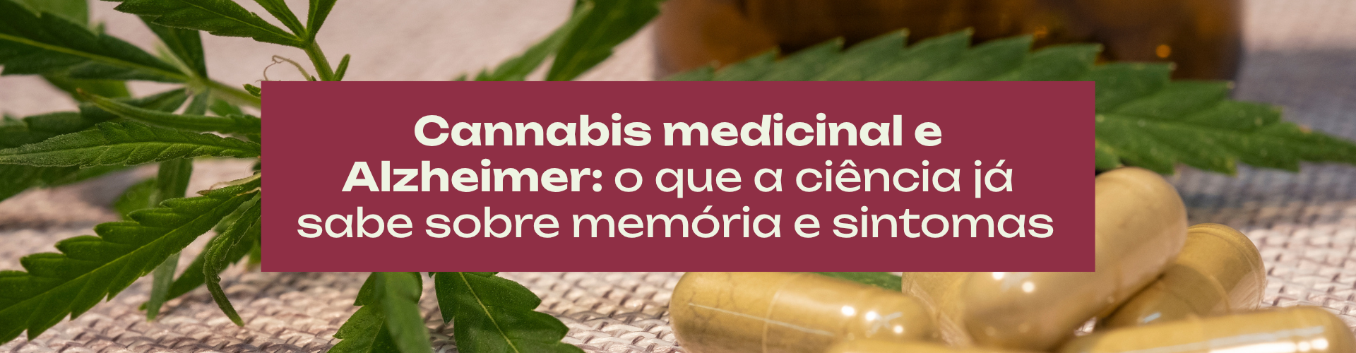 Entenda o que a ciência já sabe sobre cannabis medicinal e Alzheimer, os resultados de um estudo brasileiro e a importância do acompanhamento médico.